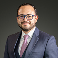 Ricardo  Hernandez L.